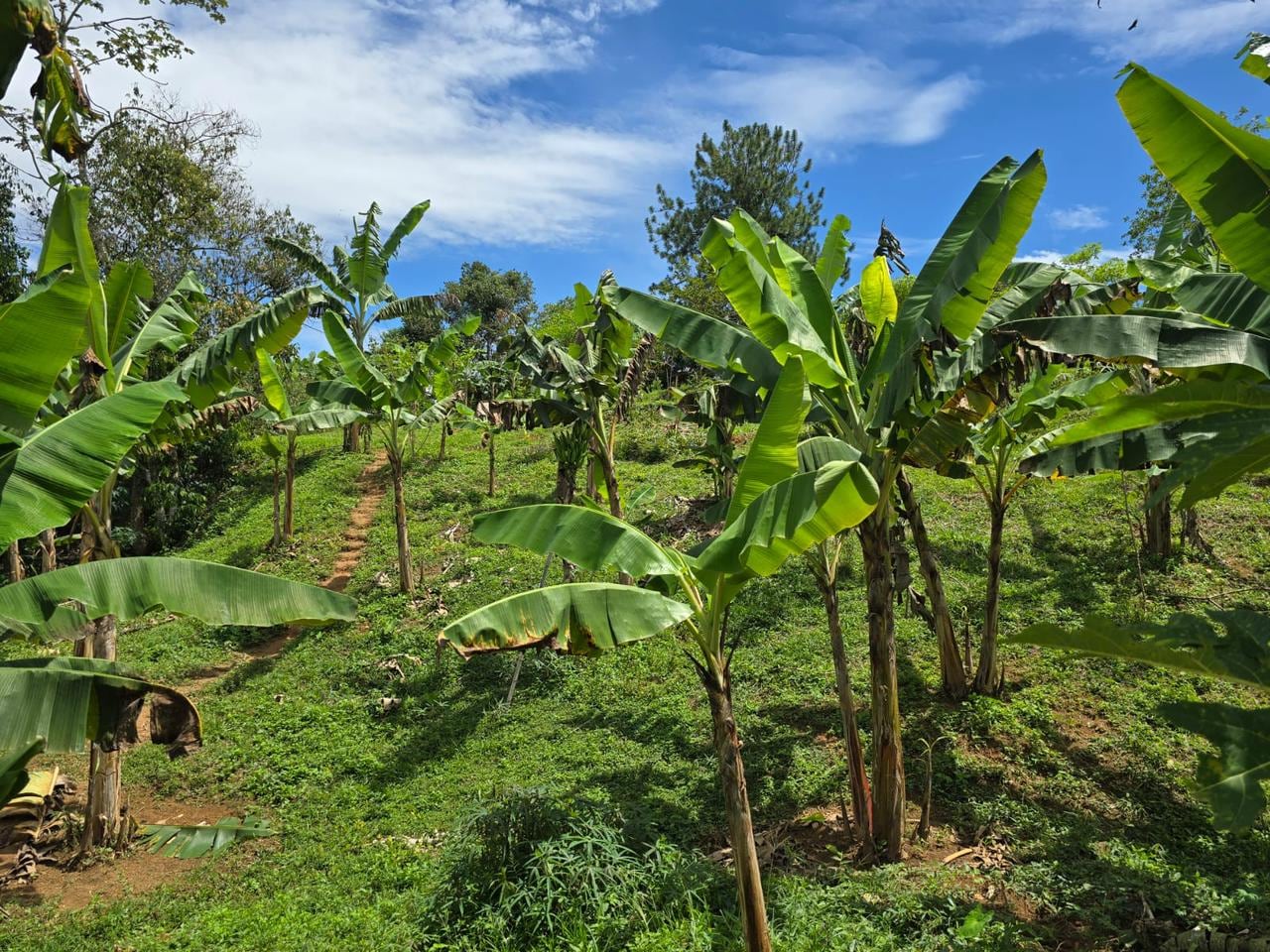 Yolombó, Antioquia