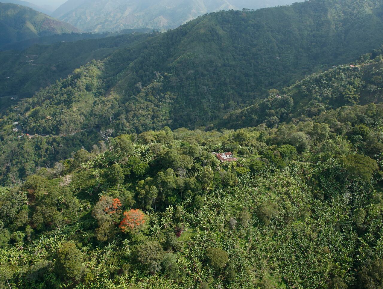 CAJAMARCA - TOLIMA
